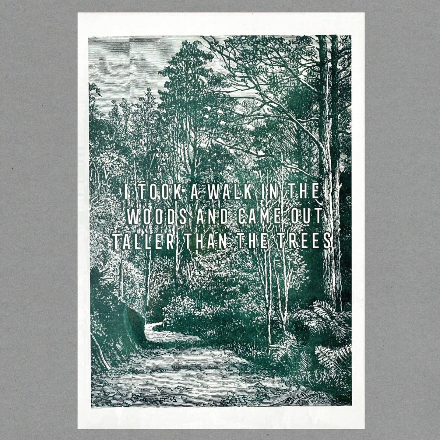Walk in the Wood Risograph Print. A3. Eco Friendly: With cello