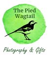 The Pied Wagtail