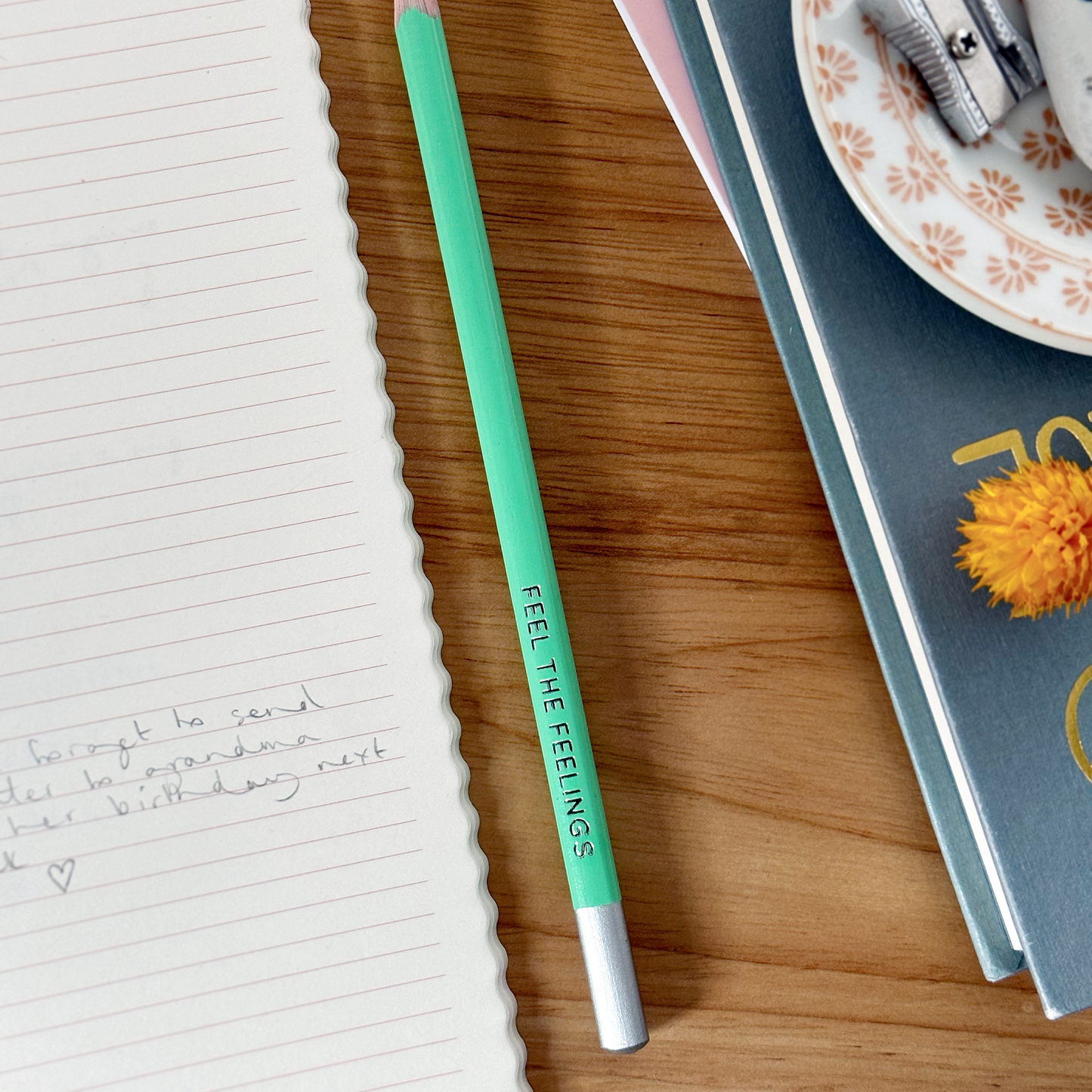 Single 'Feel The Feelings' Positive Pencil: Single Pencil