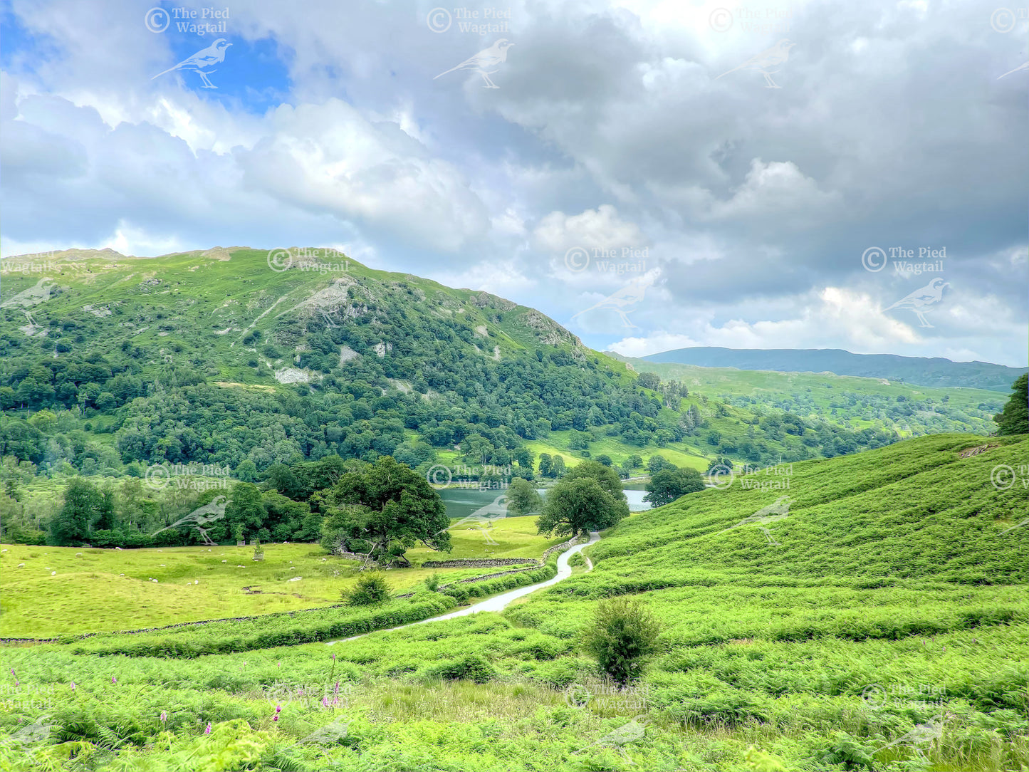 Rydal Landscape print