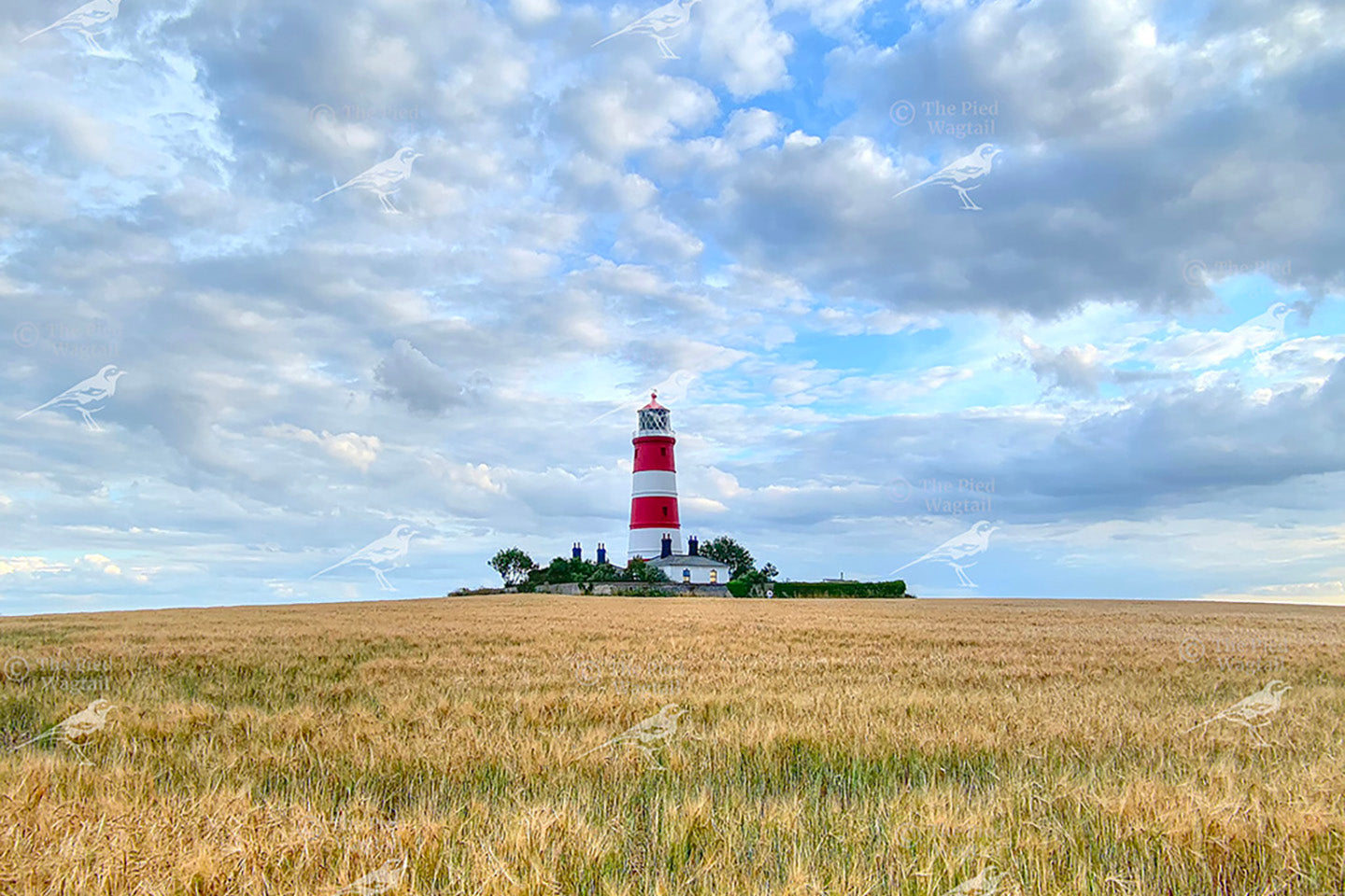 Happisburgh Lighthouse print