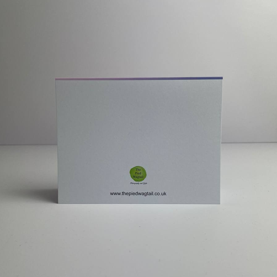 Abereiddi Bay pink sunset silhouette Greetings Card