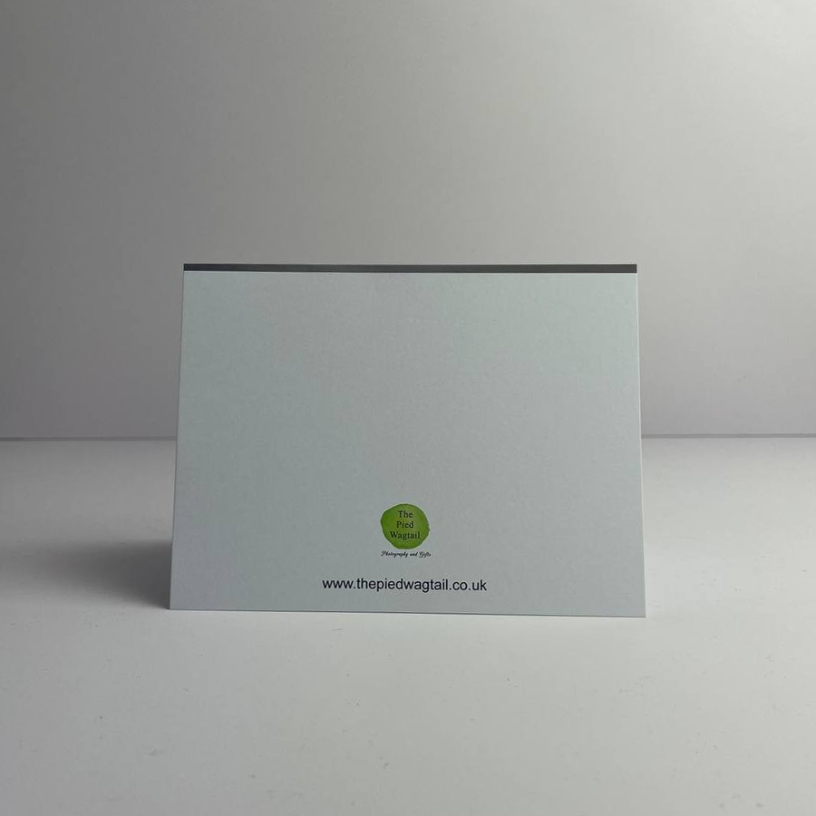 Abereiddi Bay Sunset Greetings Card