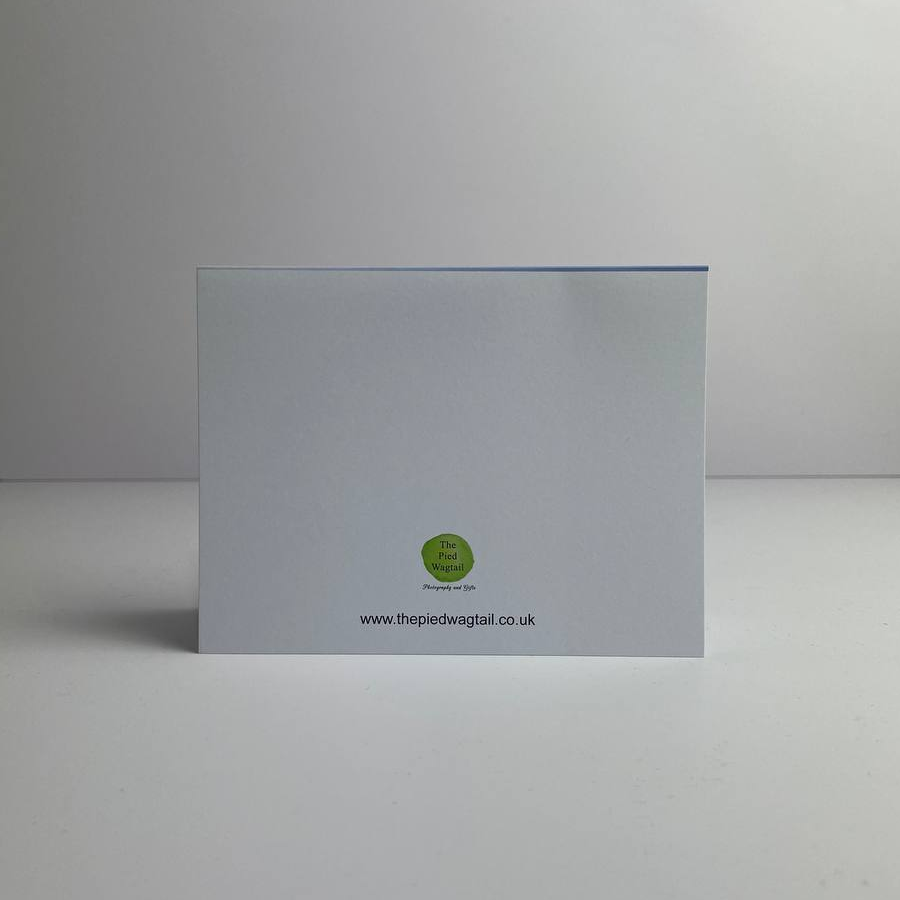 Abereiddi Bay Greetings Card