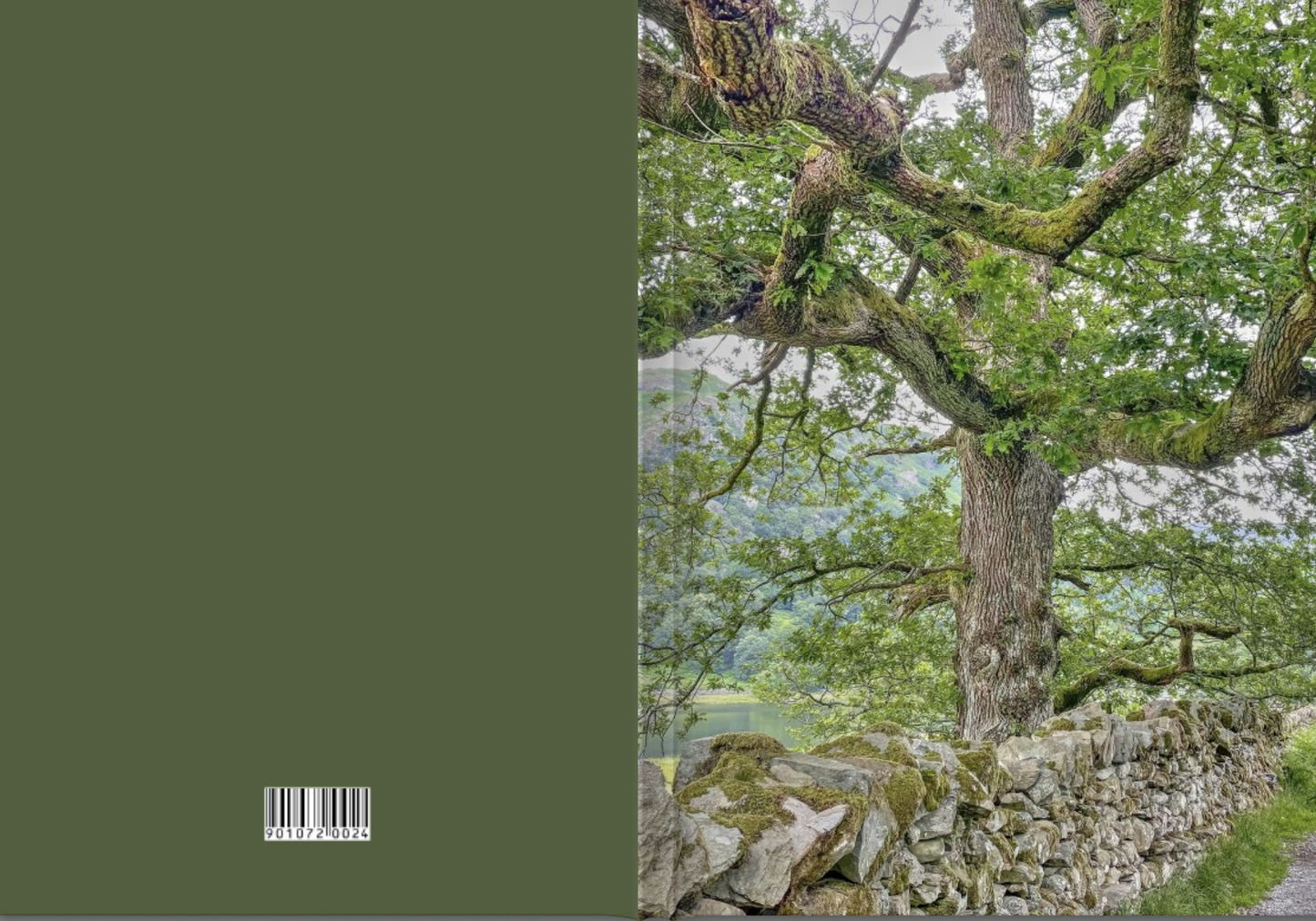 Lake District Tree A5 Softback Notebook