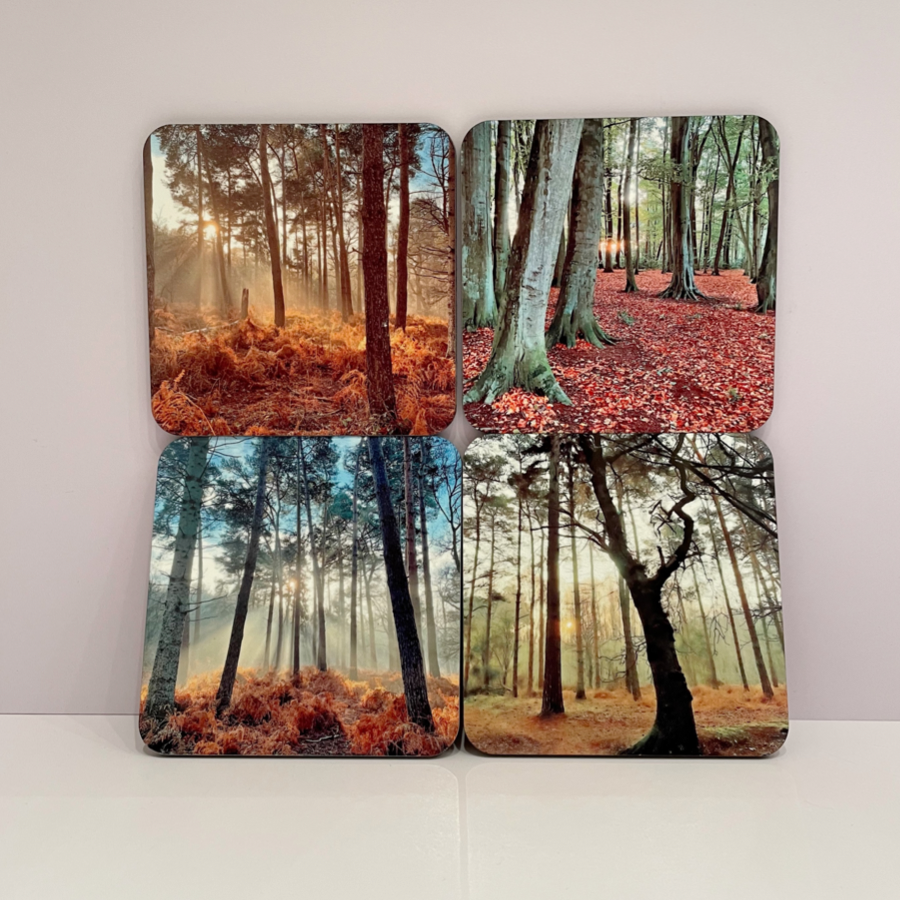 Woodland Coasters - 4 pack