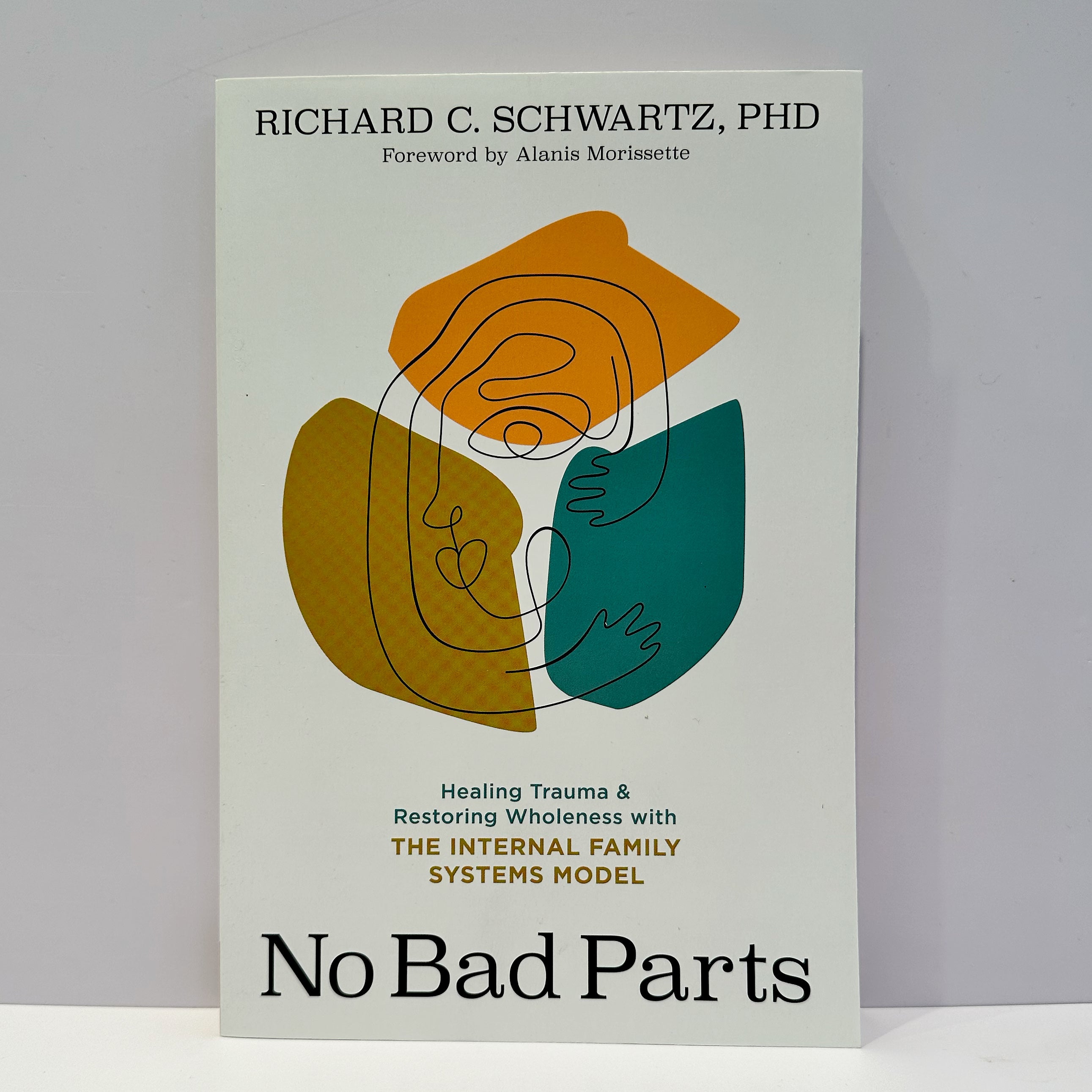 no bad parts children's book