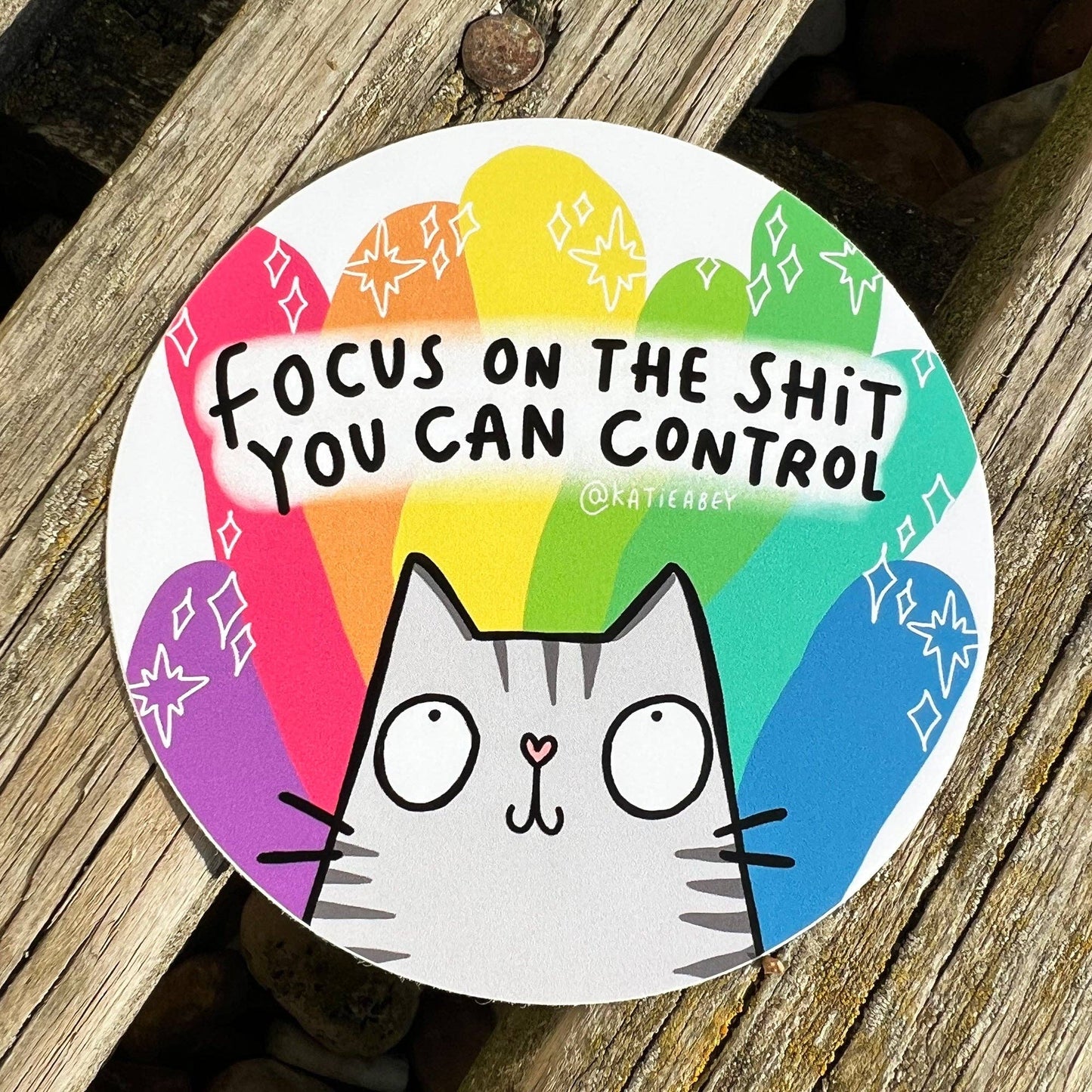 Focus Cat Vinyl Stickers