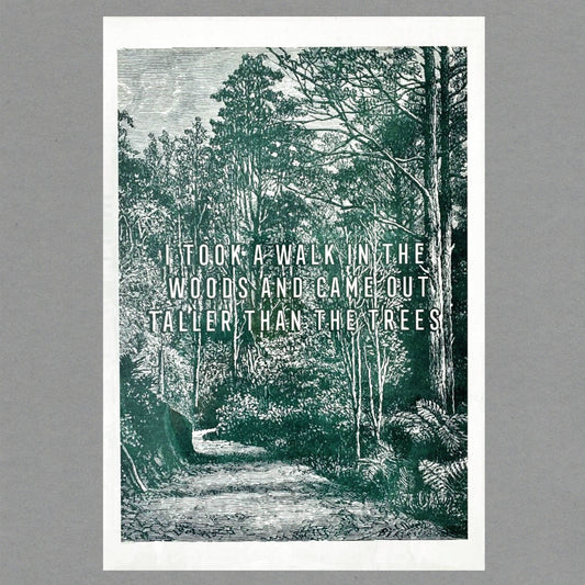 Walk in the Wood Risograph Print. A3. Eco Friendly: With cello