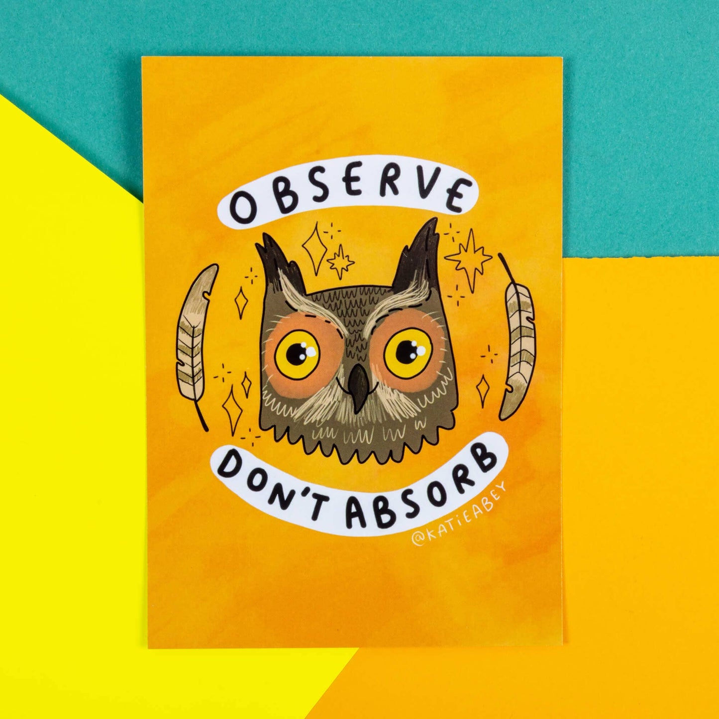 Observe, Don't Absorb Owl Cat A6 Postcard