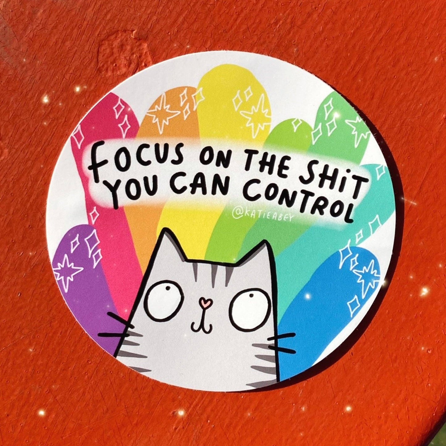 Focus Cat Vinyl Stickers