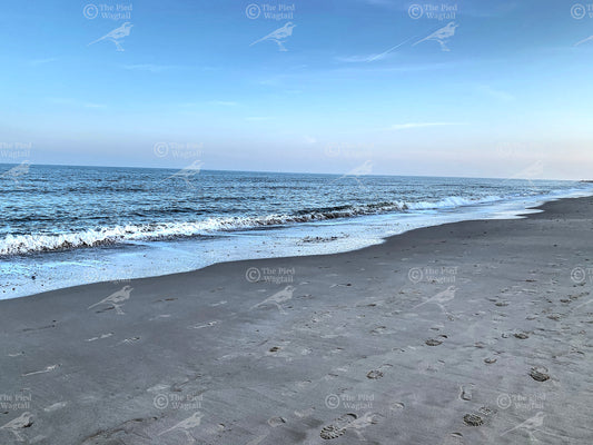 Winterton Blue Sea print