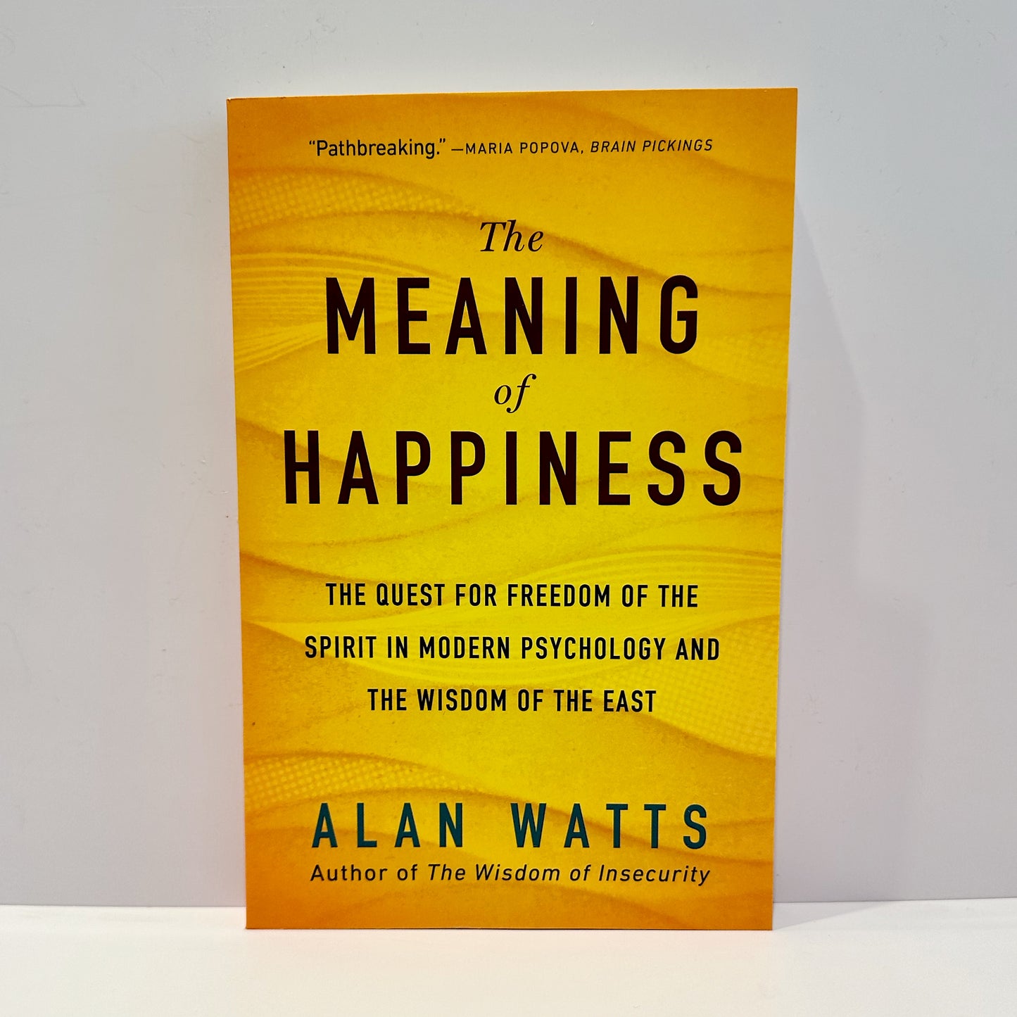 The Meaning of Happiness - Alan Watts
